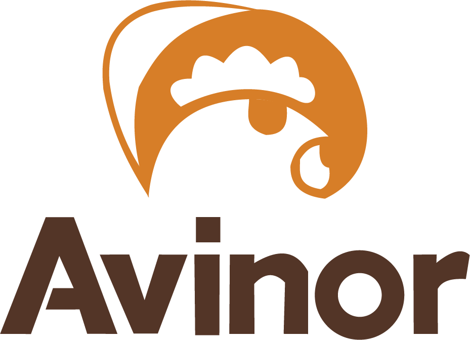 Logo Avinor
